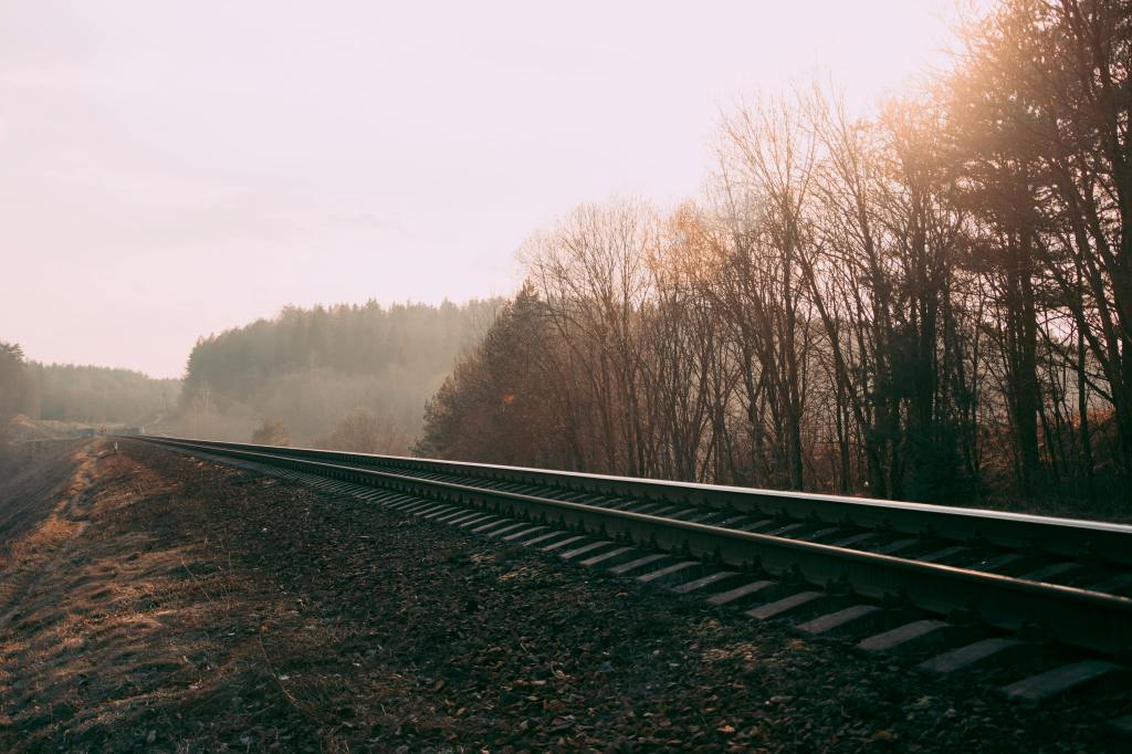 An atmospheric setting of the outdoors, with the sun shining down on train tracks.