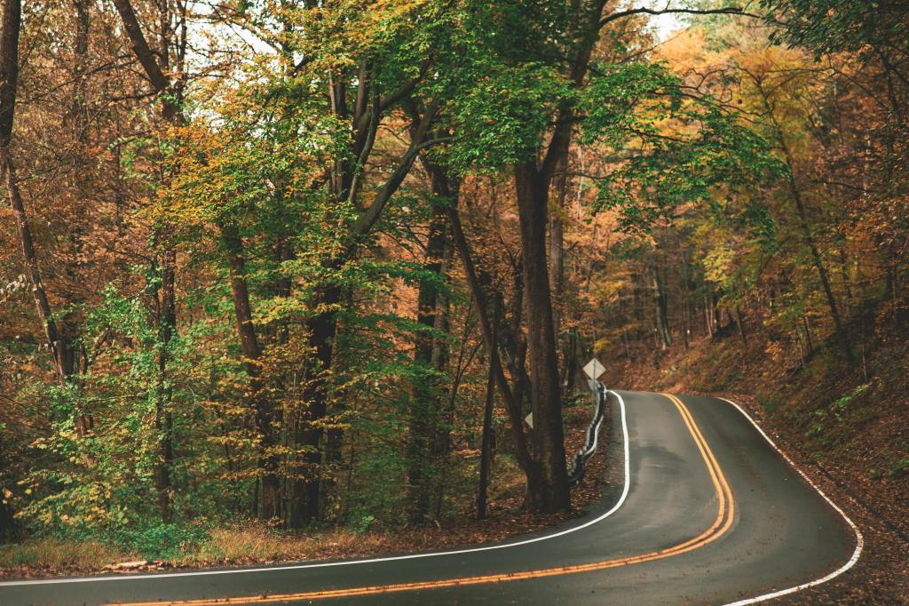A road in the middle of the forest going upwards.